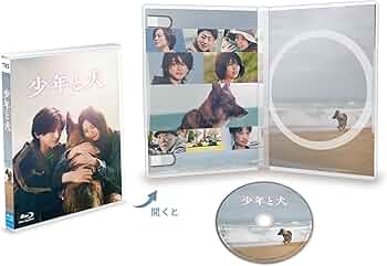 71+1v+tB9KL._AC_UF350,